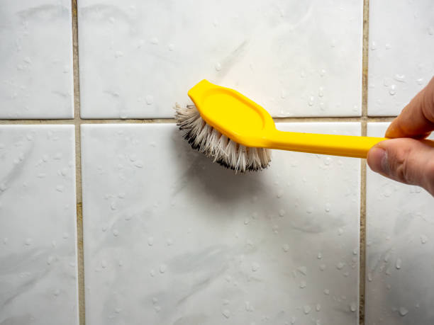 Certified Mold Removal in Marietta, PA