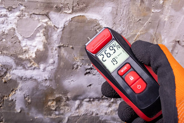 Best Mold Testing  in Marietta, PA