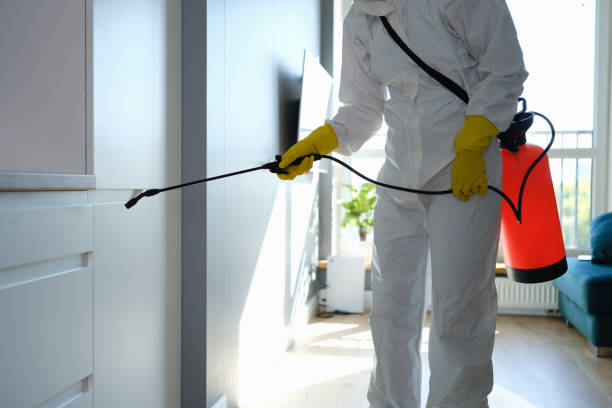 Best Residential Mold Removal  in Marietta, PA