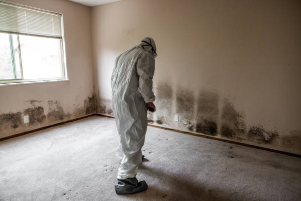 Best Mold Testing  in Marietta, PA