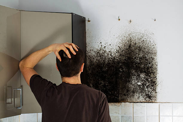 Best Residential Mold Removal  in Marietta, PA